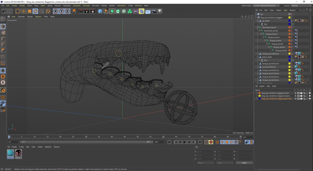 Dog Jaw Anatomic Rigged for Cinema 4D 2 3D model