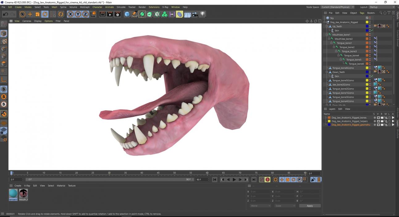 Dog Jaw Anatomic Rigged for Cinema 4D 2 3D model