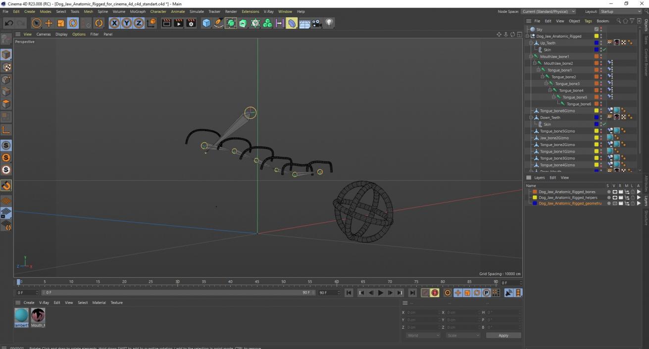 Dog Jaw Anatomic Rigged for Cinema 4D 2 3D model