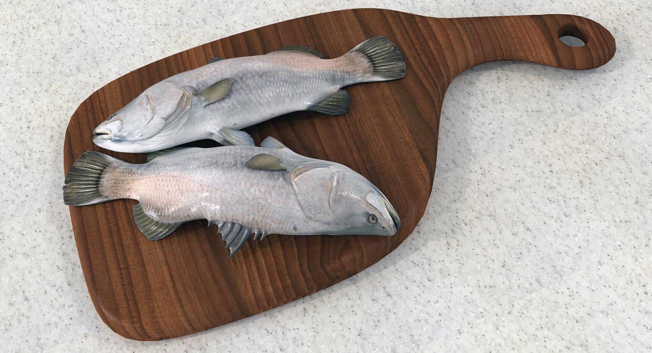 Barramundi Fish Rigged 3D