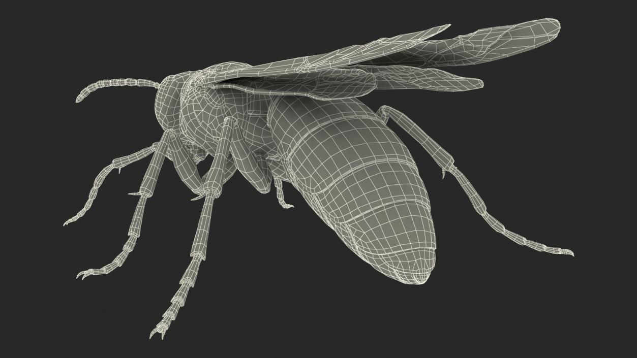 Paper Wasp Standing Pose 3D model