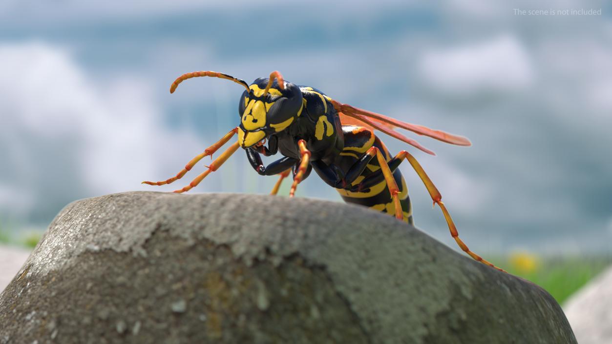 Paper Wasp Standing Pose 3D model