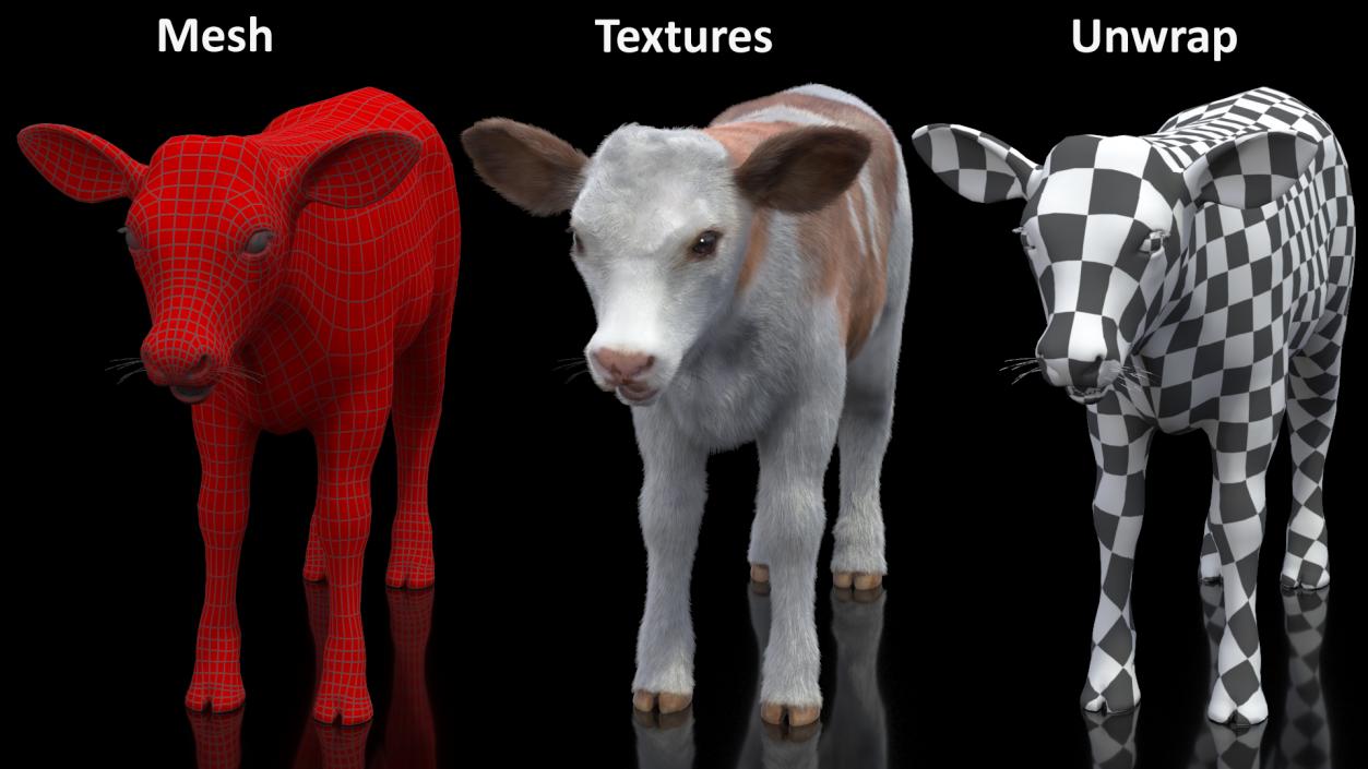 Cow Calf Fur 2 3D model