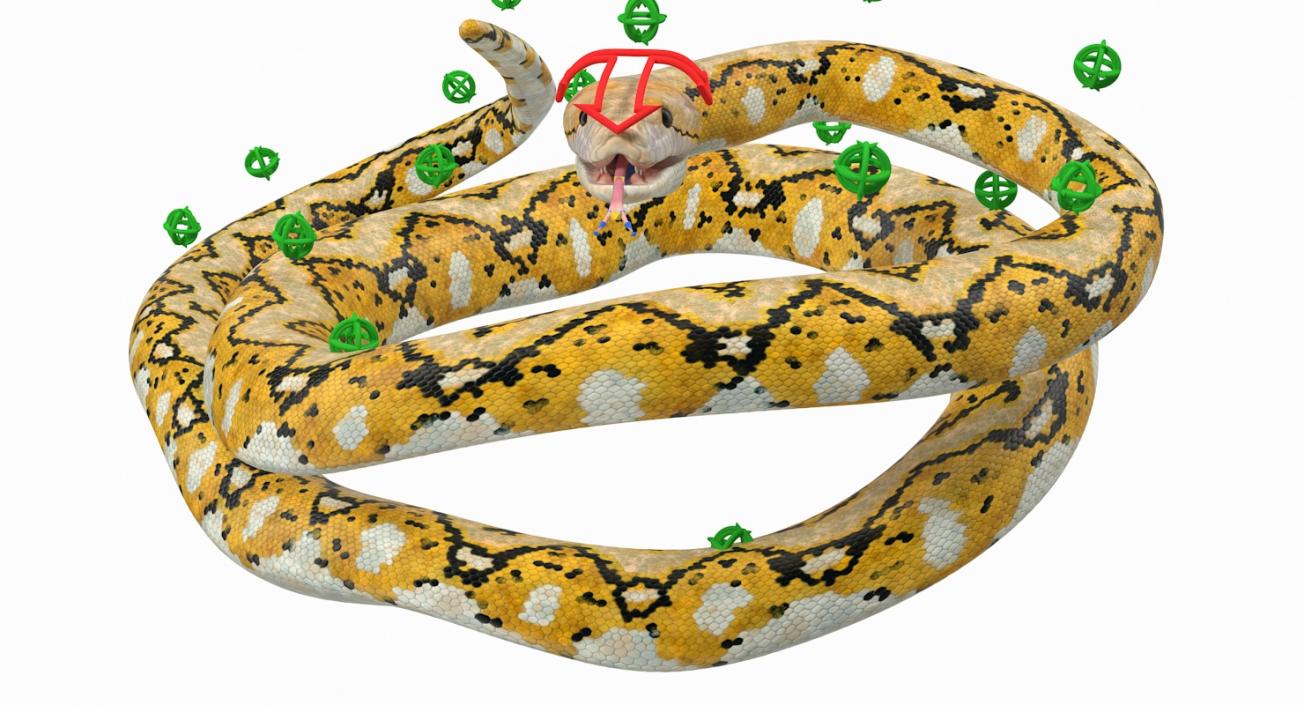 3D Yellow Python Snake Rigged