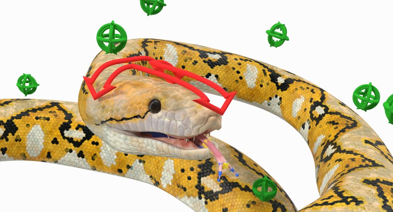 3D Yellow Python Snake Rigged