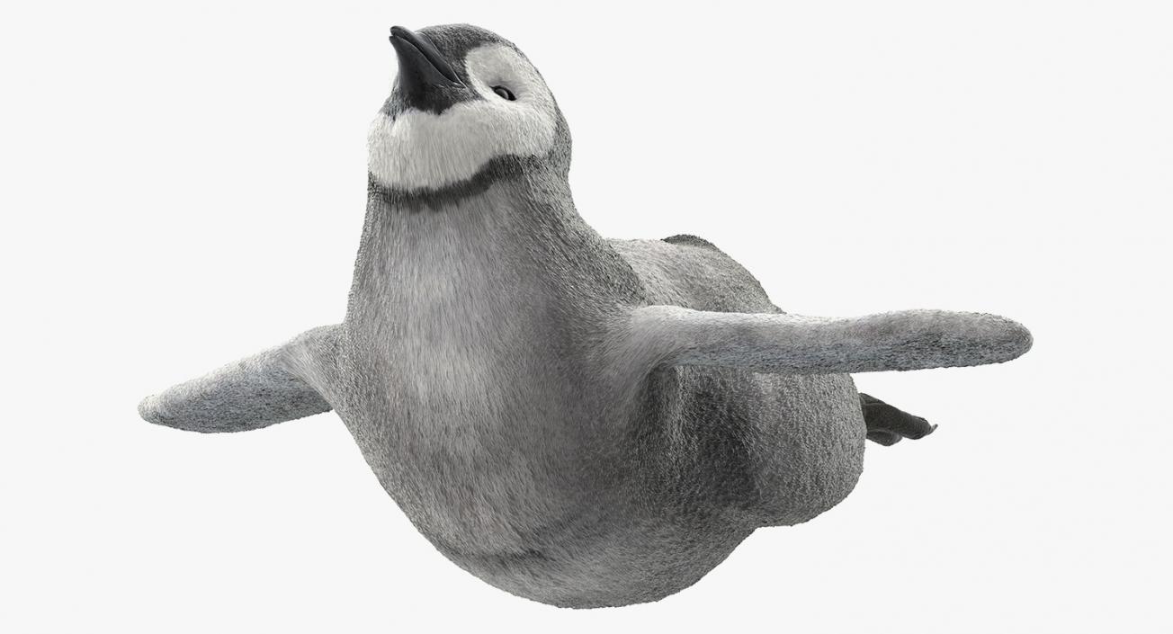 3D Penguin Baby Swimming Pose