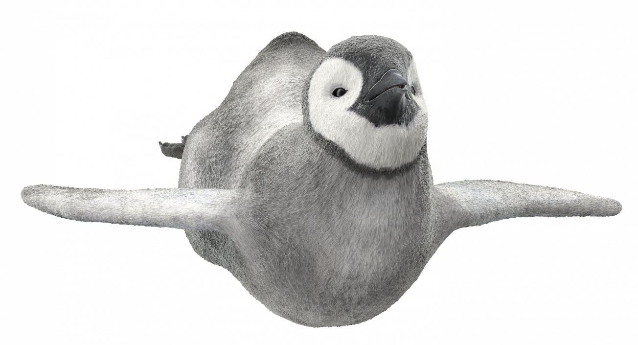 3D Penguin Baby Swimming Pose