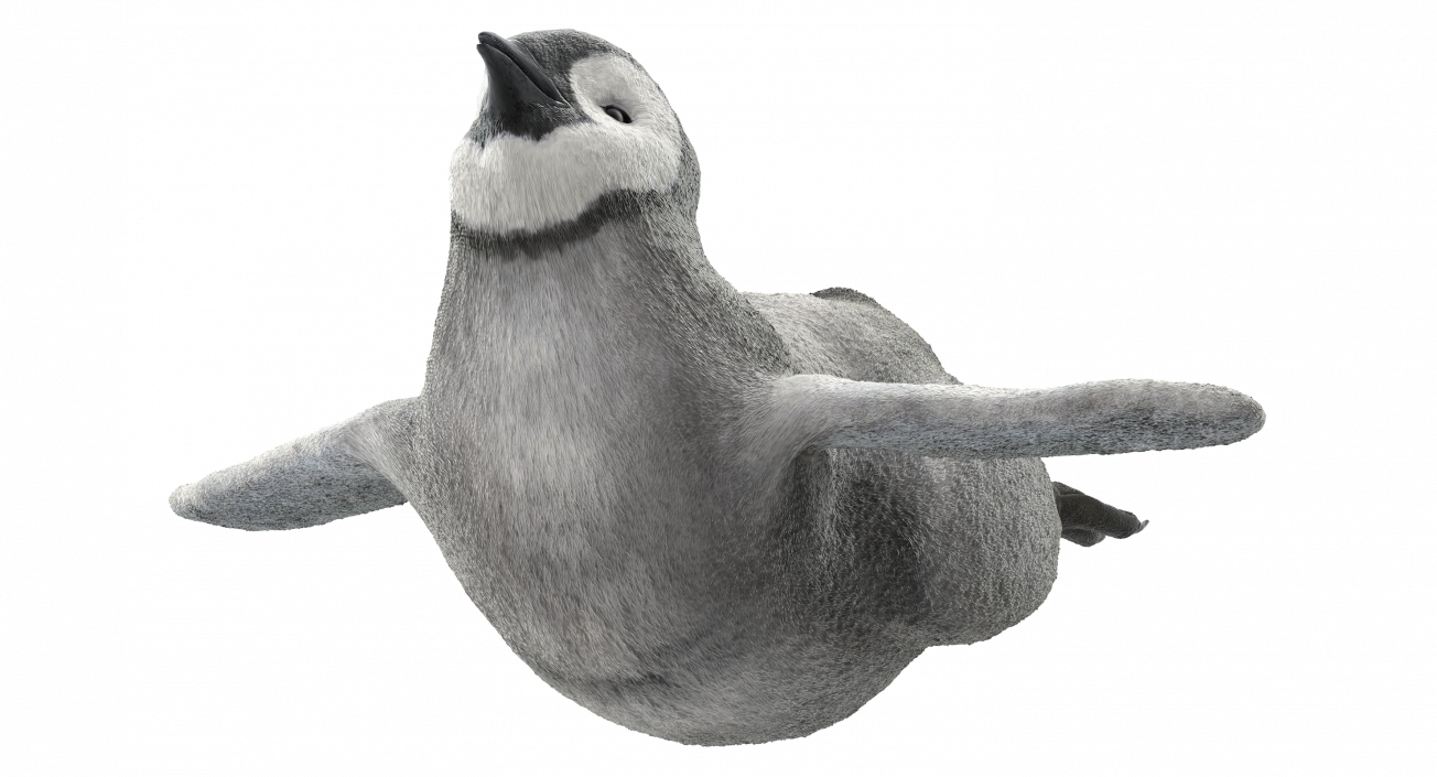 3D Penguin Baby Swimming Pose