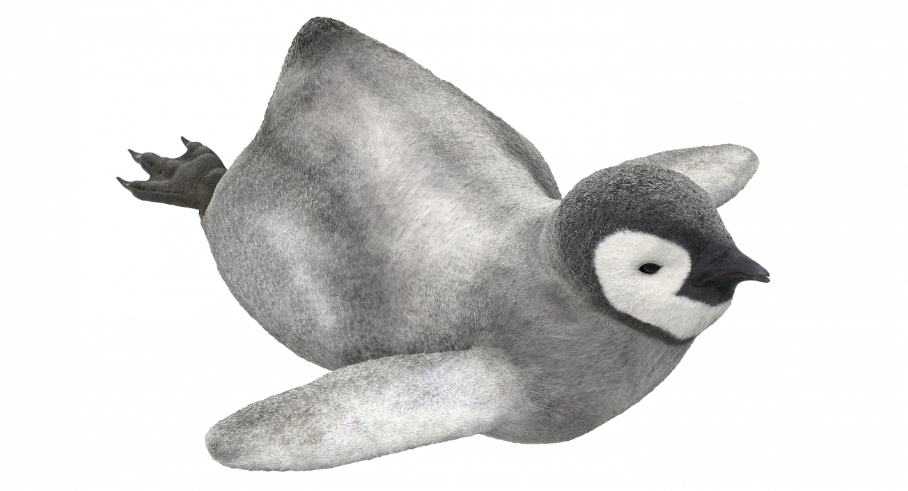 3D Penguin Baby Swimming Pose