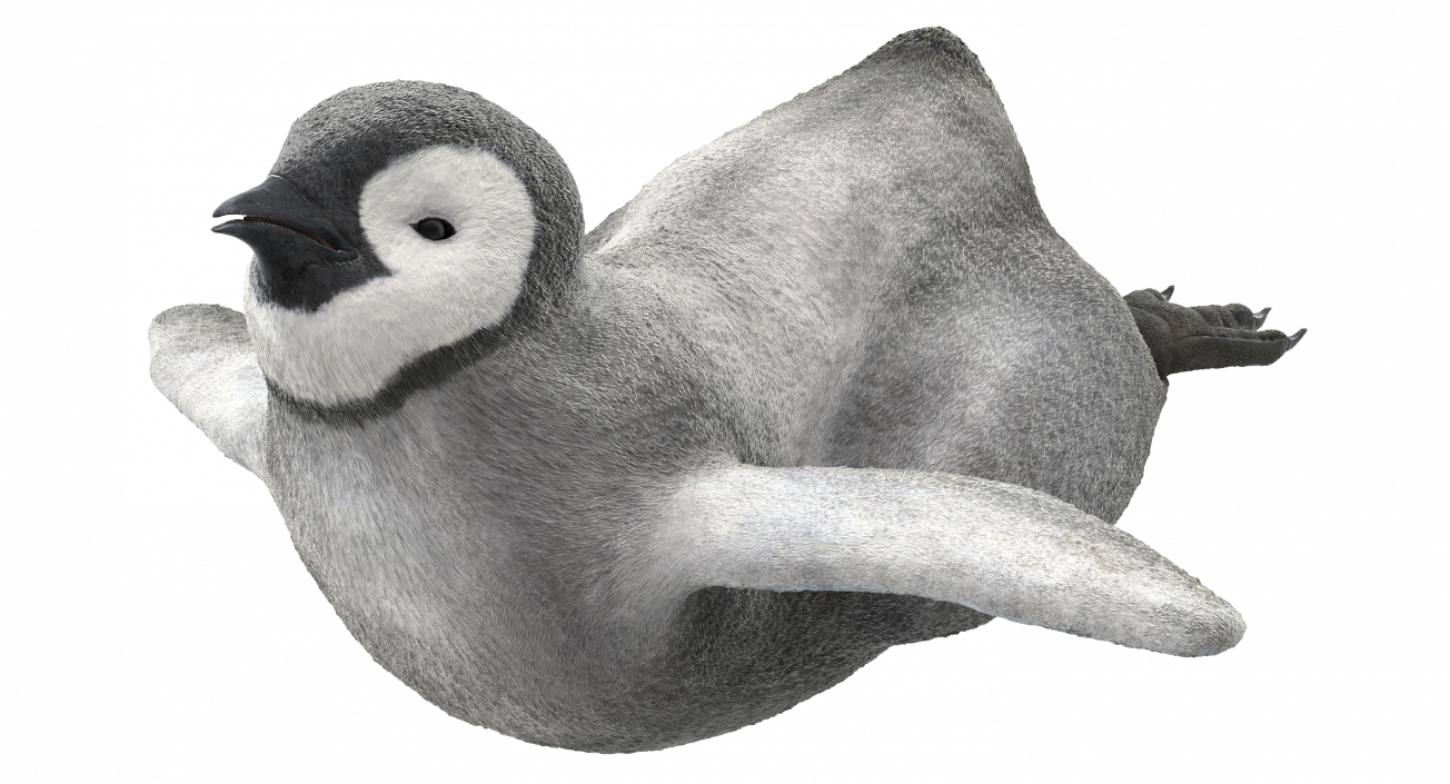 3D Penguin Baby Swimming Pose