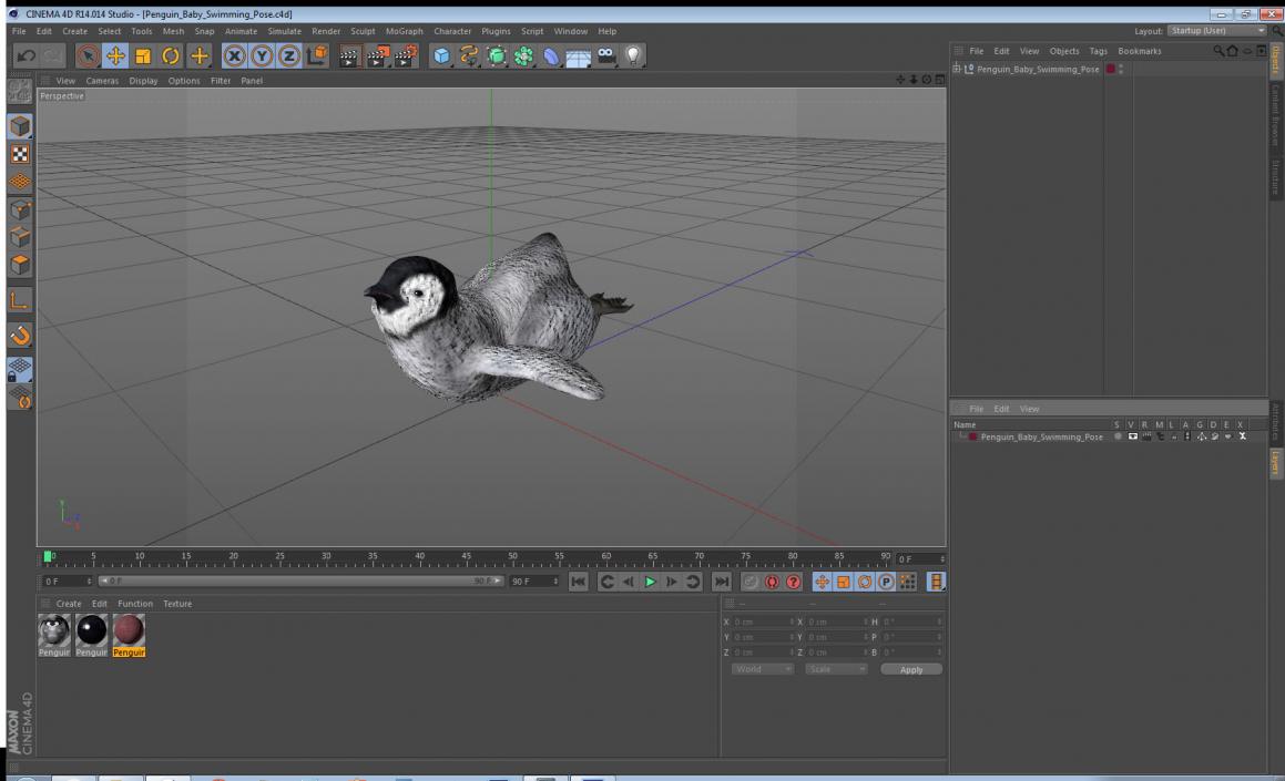 3D Penguin Baby Swimming Pose