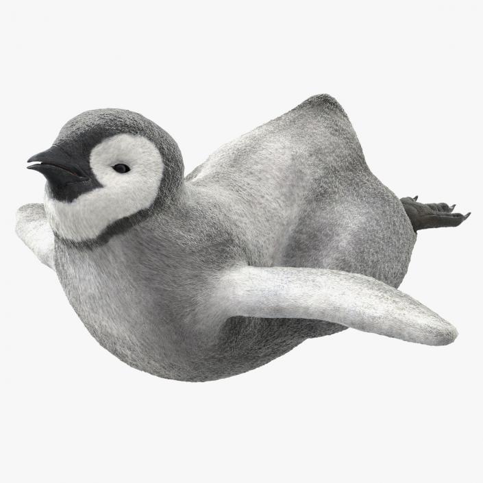 3D Penguin Baby Swimming Pose