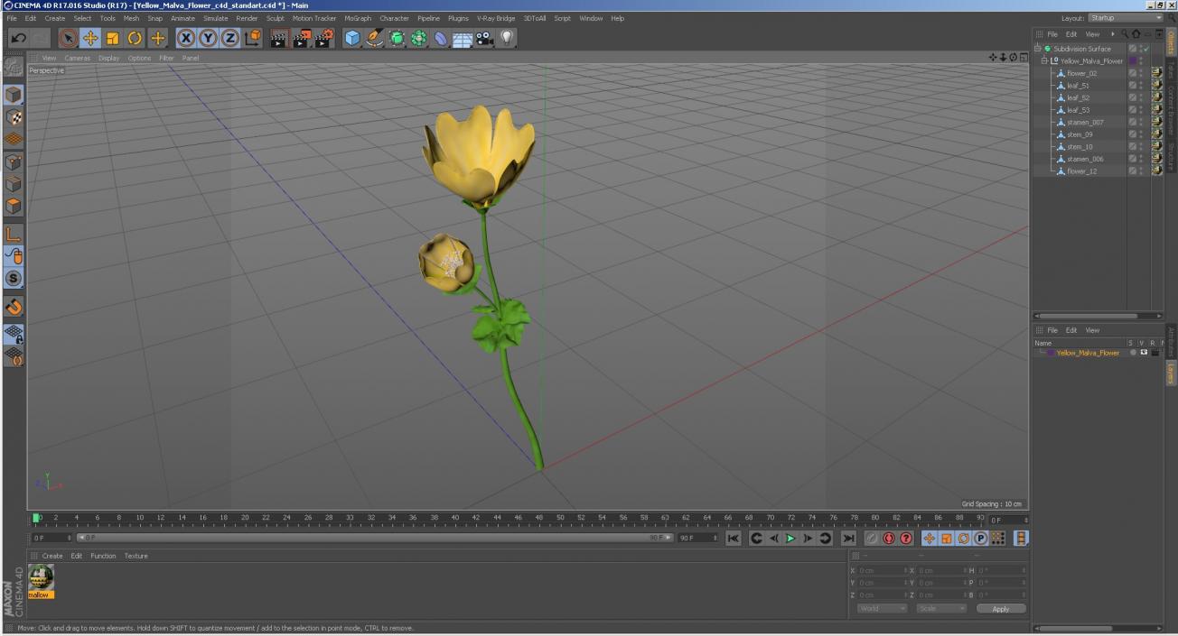 Yellow Malva Flower 3D model