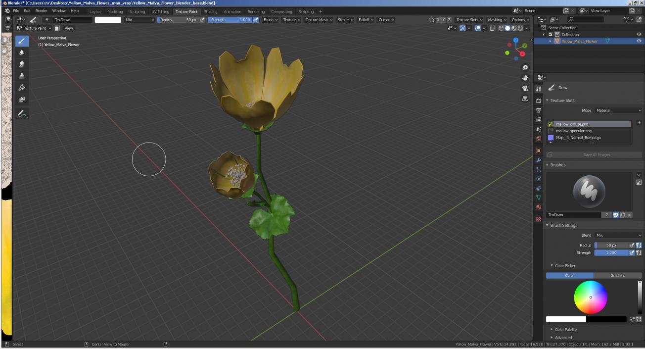 Yellow Malva Flower 3D model