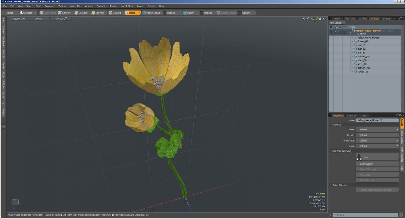 Yellow Malva Flower 3D model