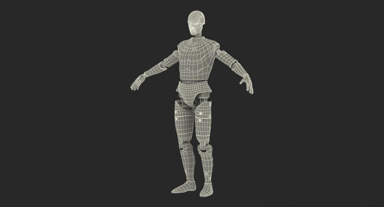 3D Rigged Crash Test Dummies 3D Models Collection 2 model