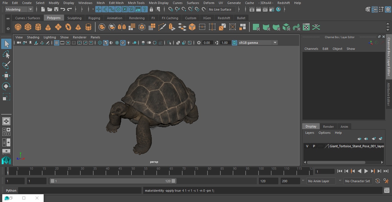 3D model Giant Tortoise Stand Pose