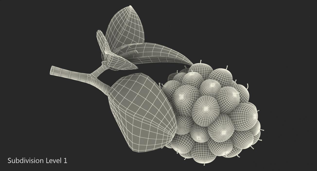 Blackberry with Leaves 3D