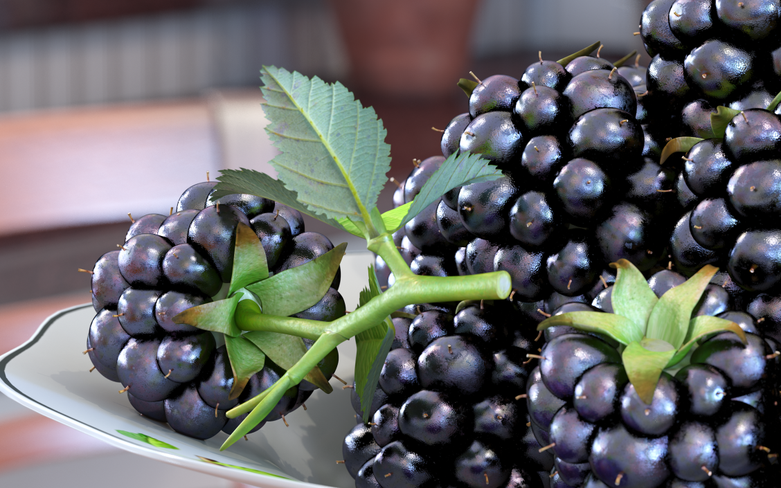 Blackberry with Leaves 3D