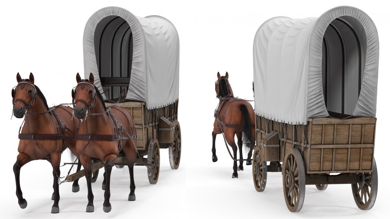 Covered Wagon with Horses fur 3D model