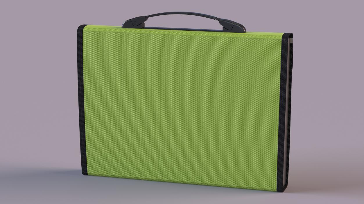 Plastic Accordion Document Folder Green 3D model