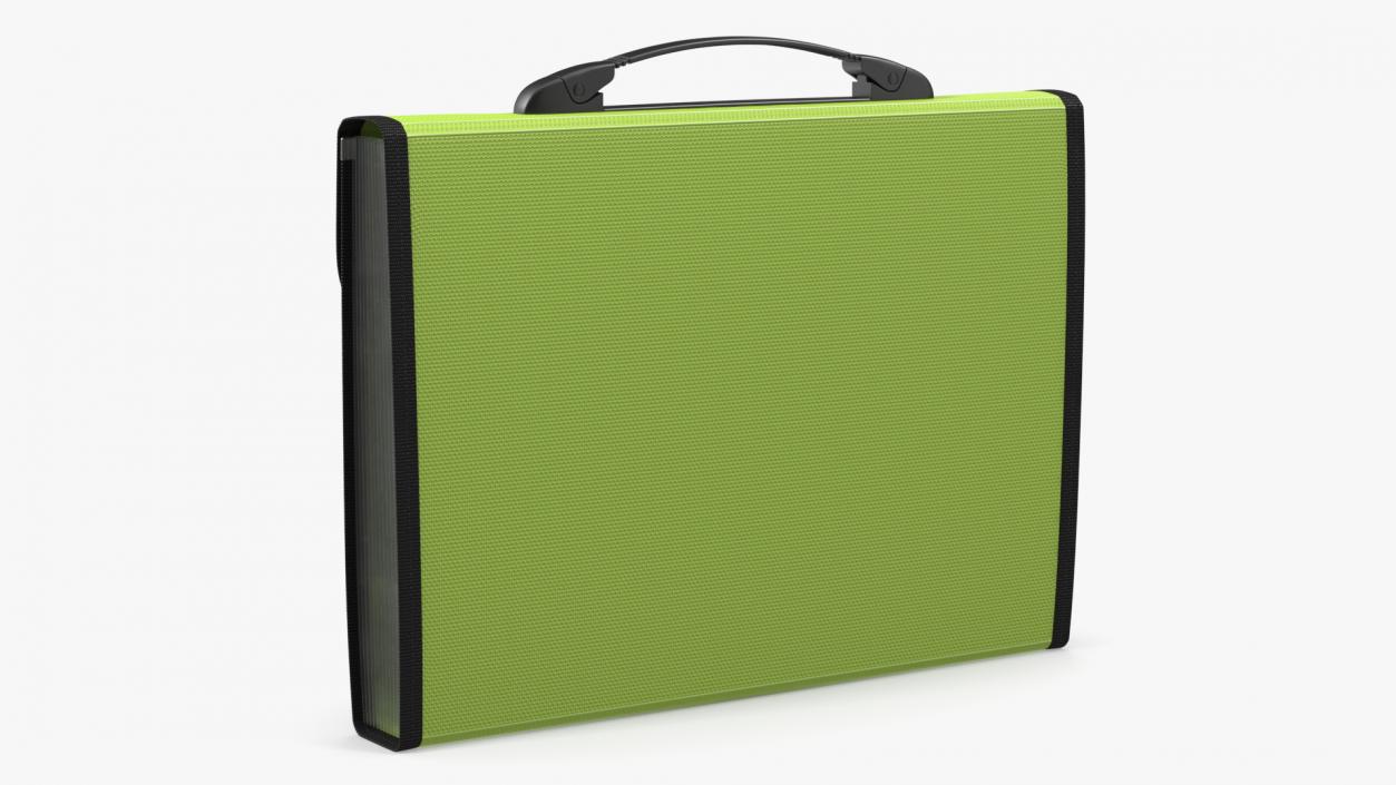 Plastic Accordion Document Folder Green 3D model