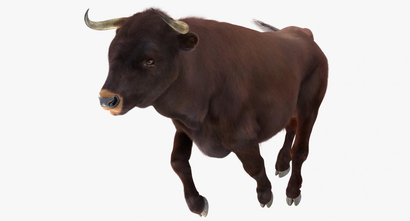 3D Bull Running Pose with Fur