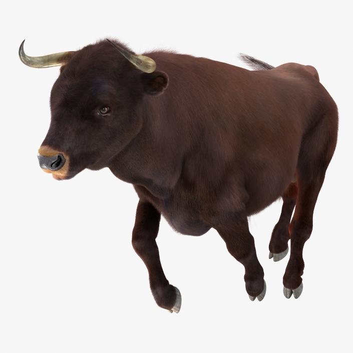 3D Bull Running Pose with Fur