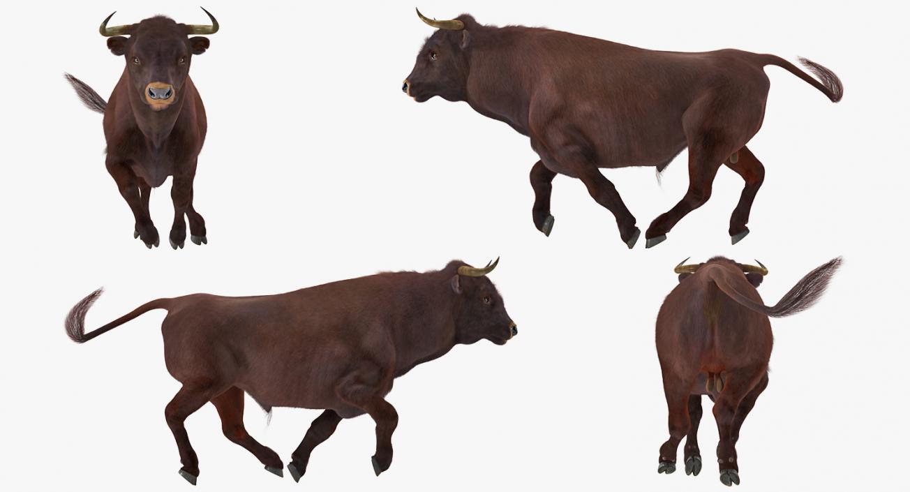 3D Bull Running Pose with Fur