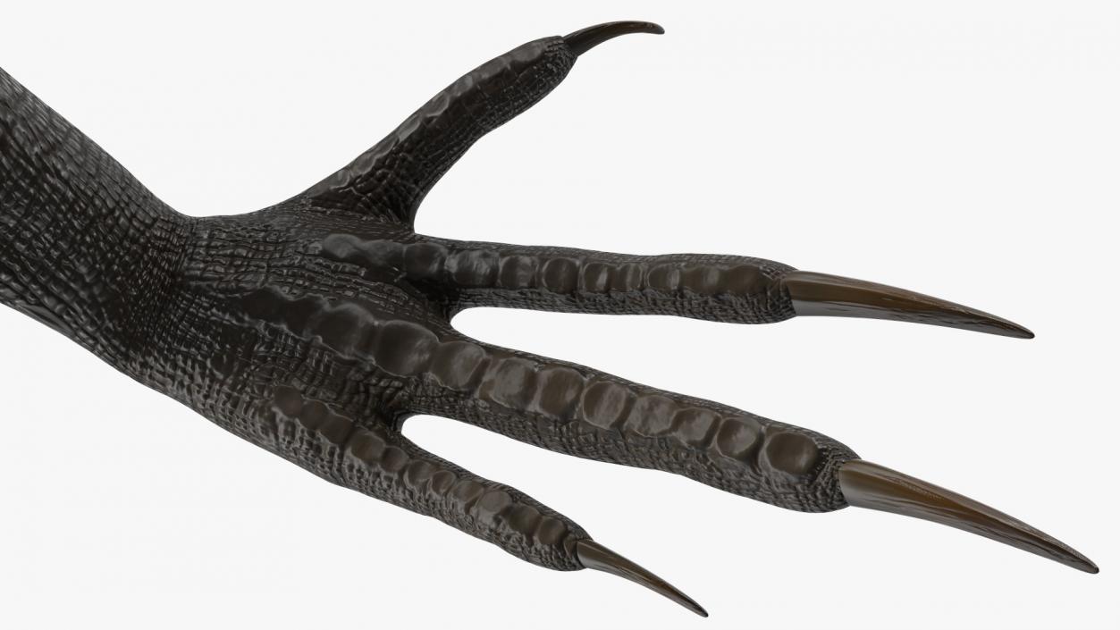 Indoraptor Paw 3D model