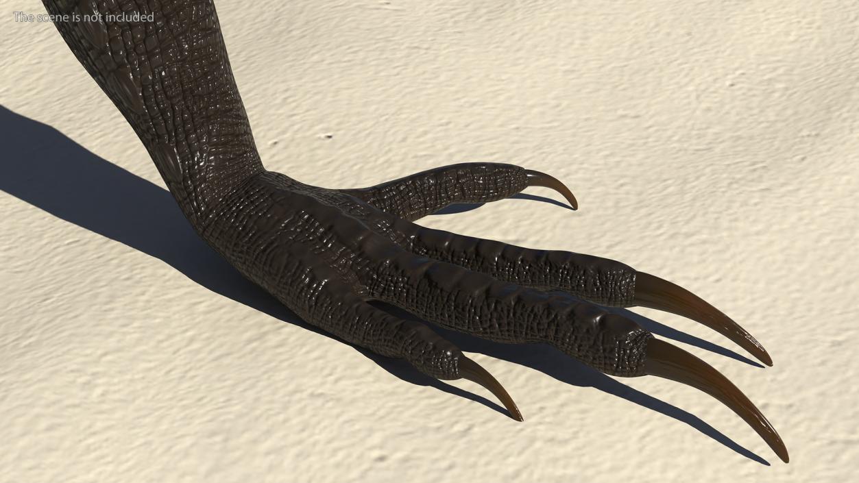 Indoraptor Paw 3D model