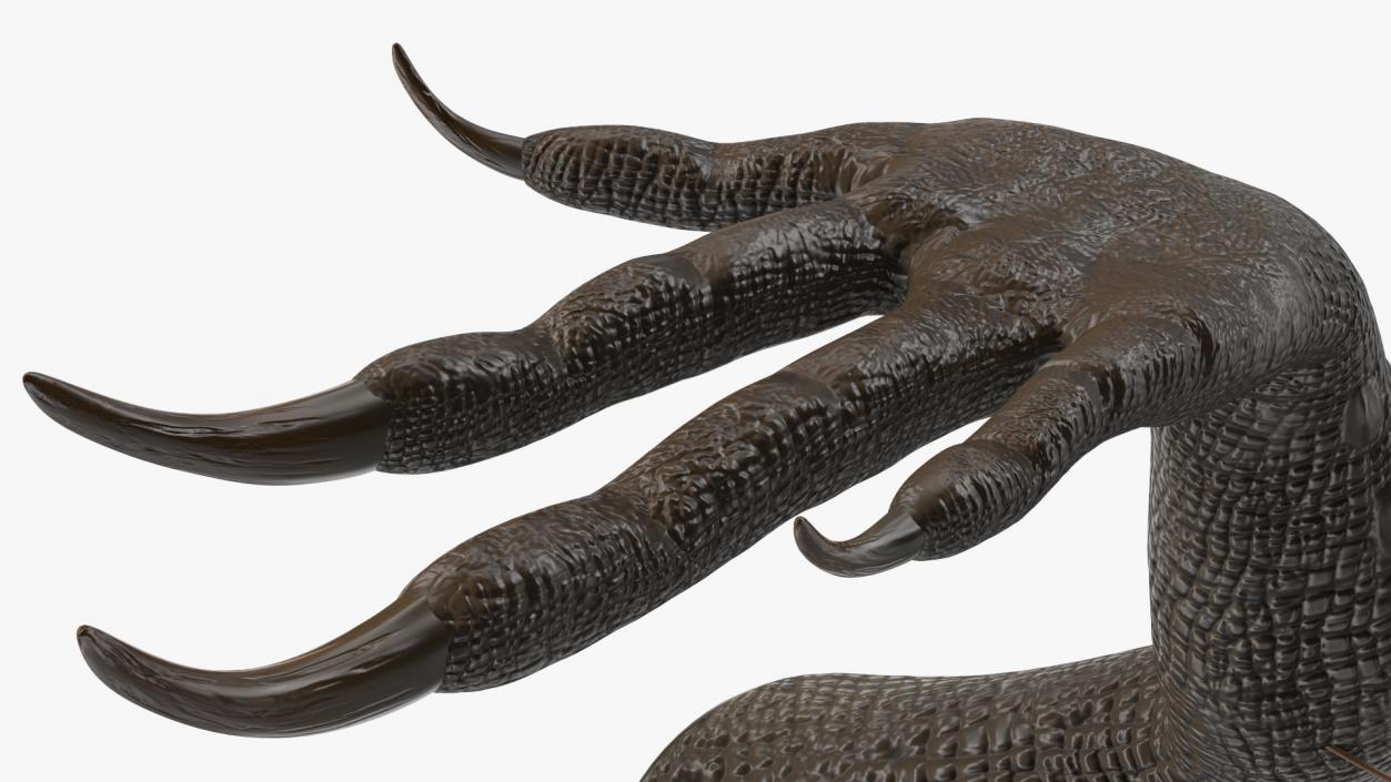 Indoraptor Paw 3D model