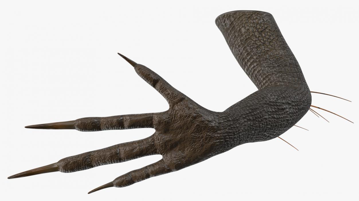 Indoraptor Paw 3D model