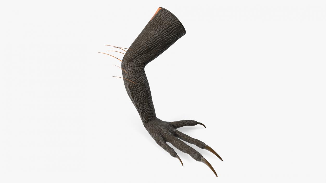 Indoraptor Paw 3D model