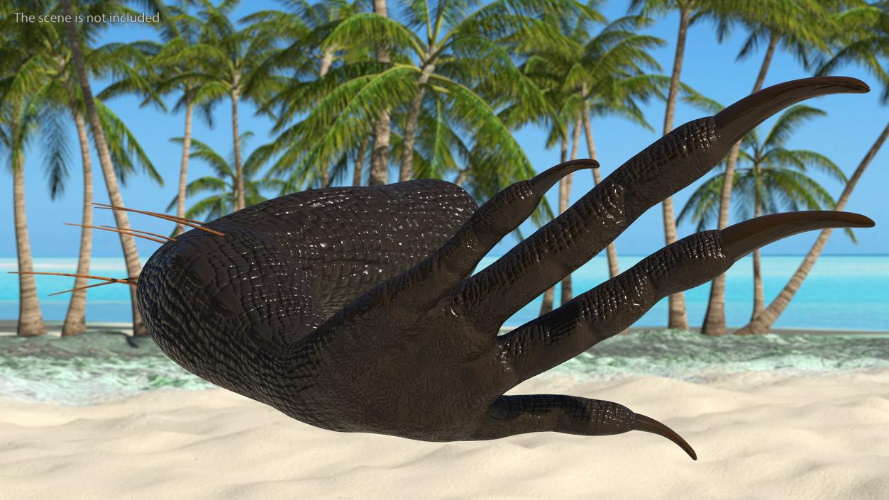 Indoraptor Paw 3D model