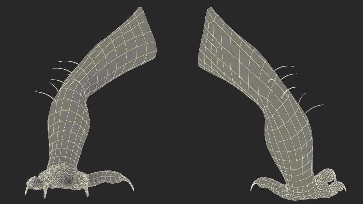 Indoraptor Paw 3D model