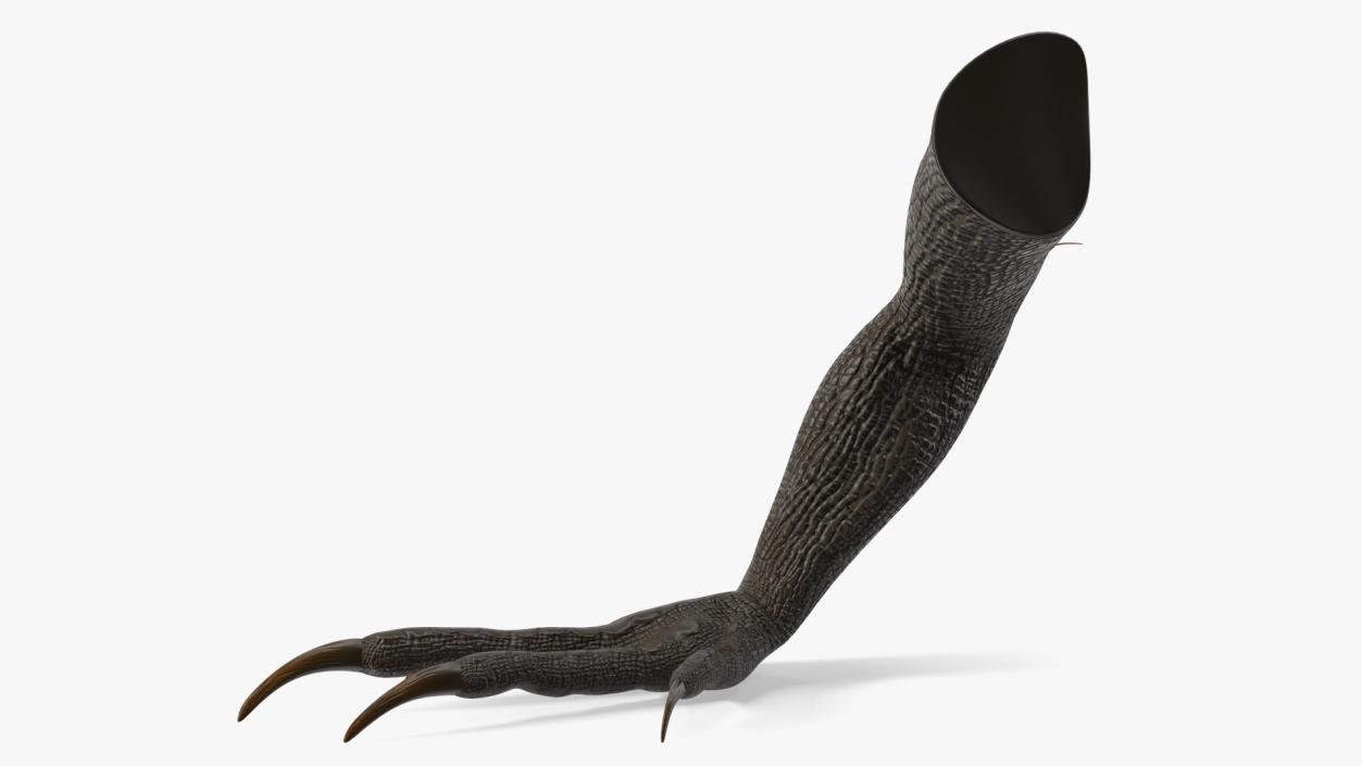 Indoraptor Paw 3D model