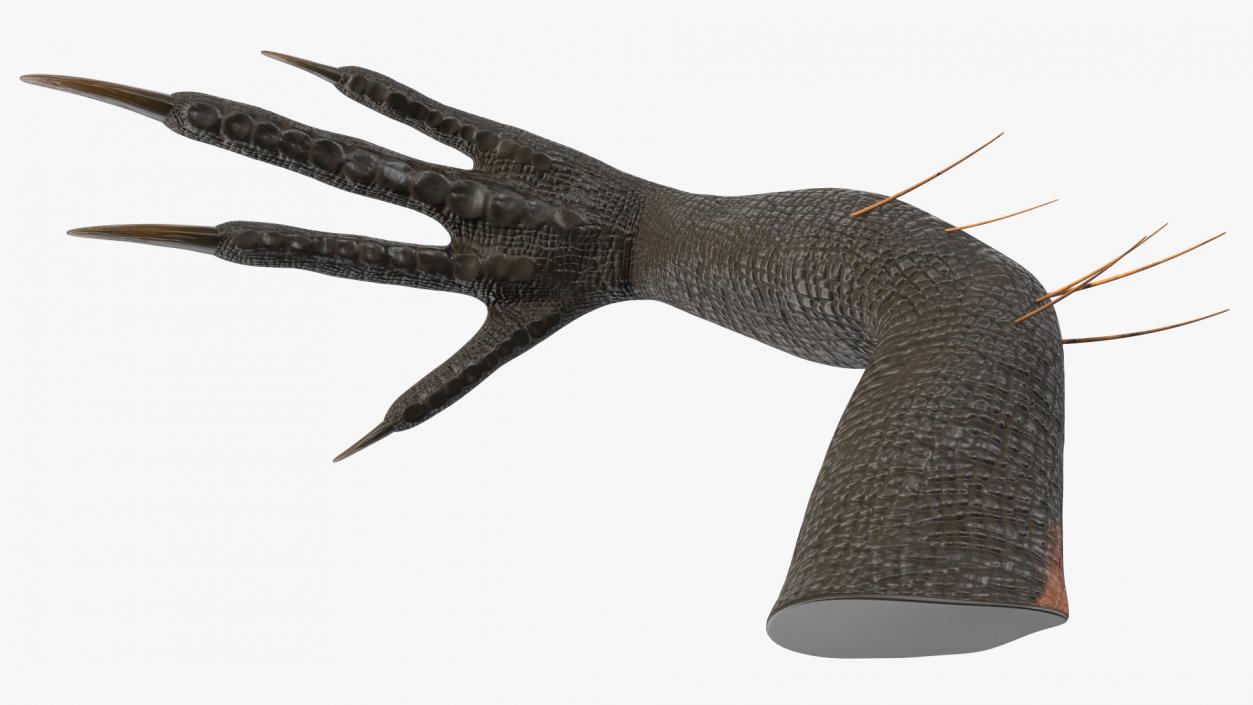 Indoraptor Paw 3D model