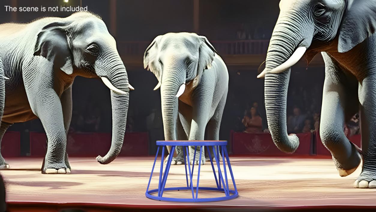 3D model Circus Animal Podium