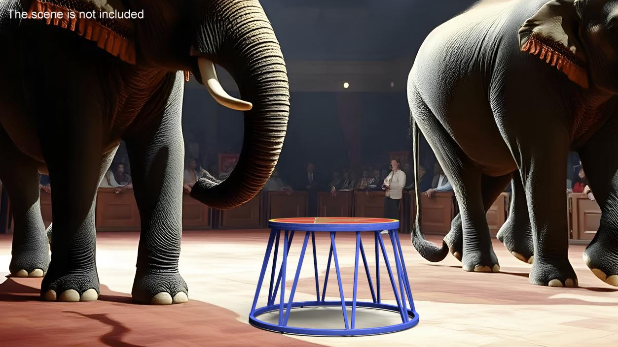 3D model Circus Animal Podium