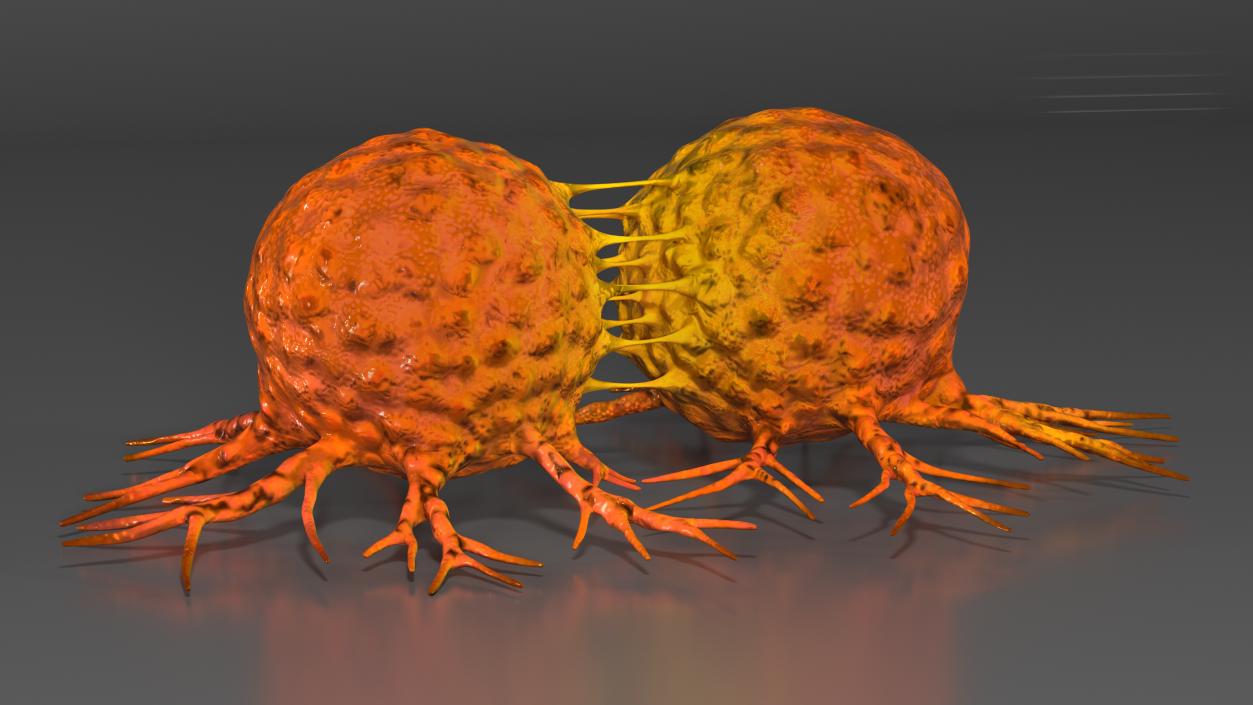 3D model Cancer Cell Dividing