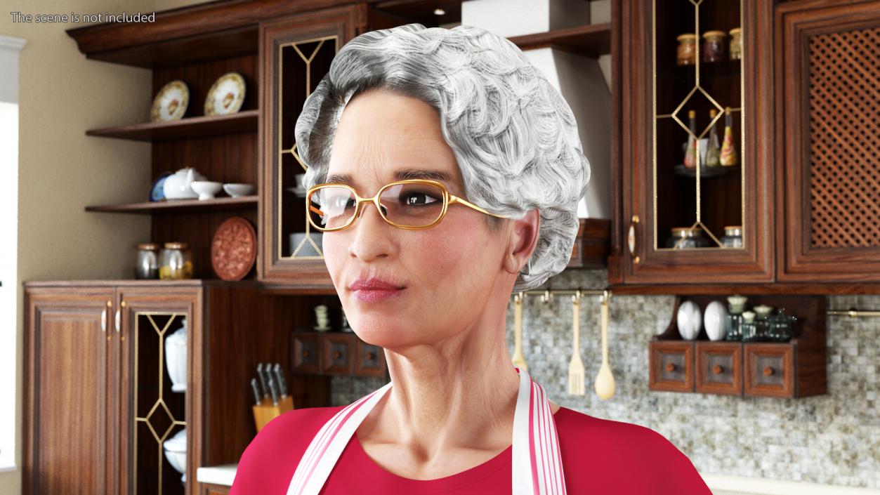 Asian Grandma Head Wearing Glasses 3D model