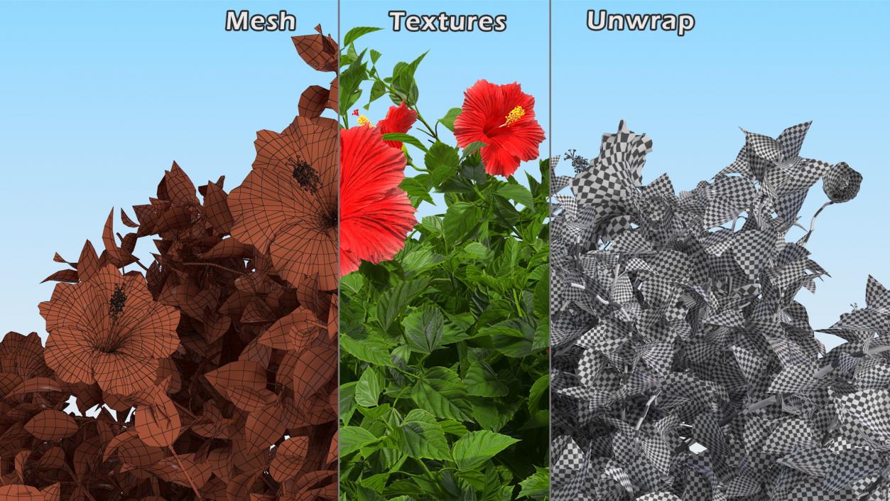 Flowering Hibiscus Bush Red 3D