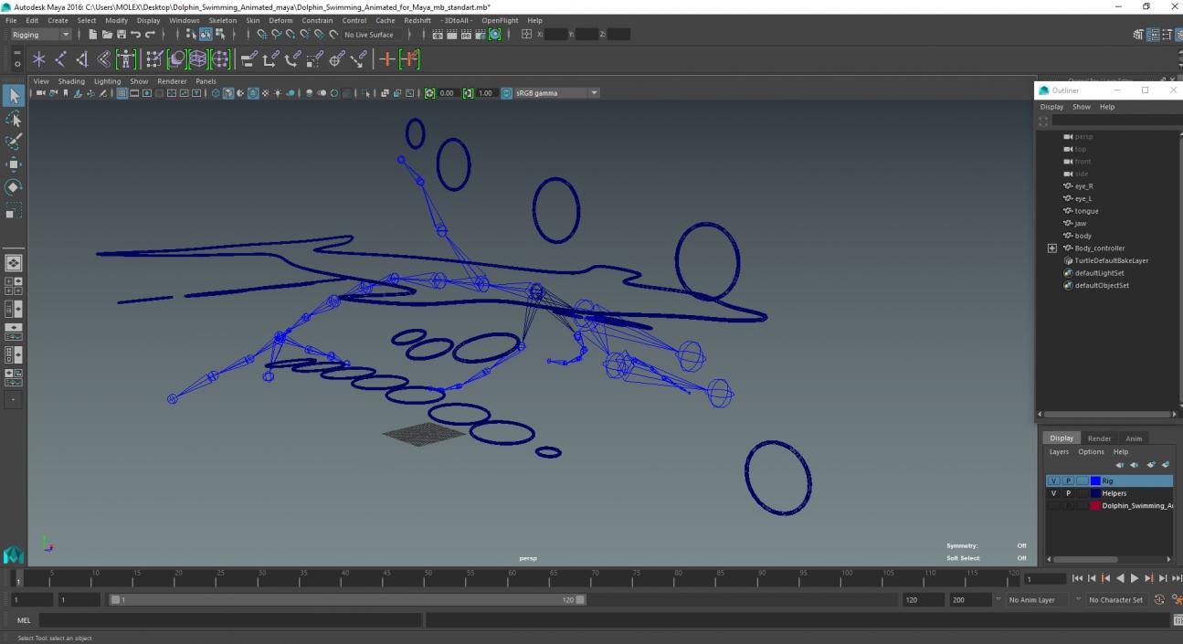 Dolphin Swimming Animated for Maya 3D model