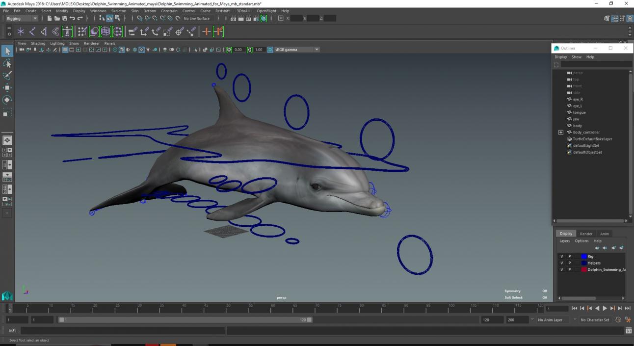 Dolphin Swimming Animated for Maya 3D model