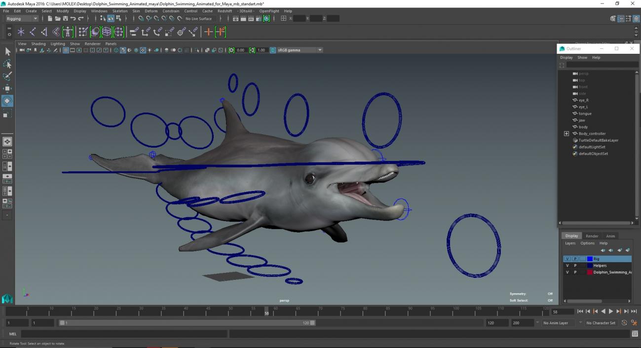 Dolphin Swimming Animated for Maya 3D model