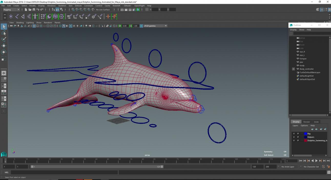 Dolphin Swimming Animated for Maya 3D model