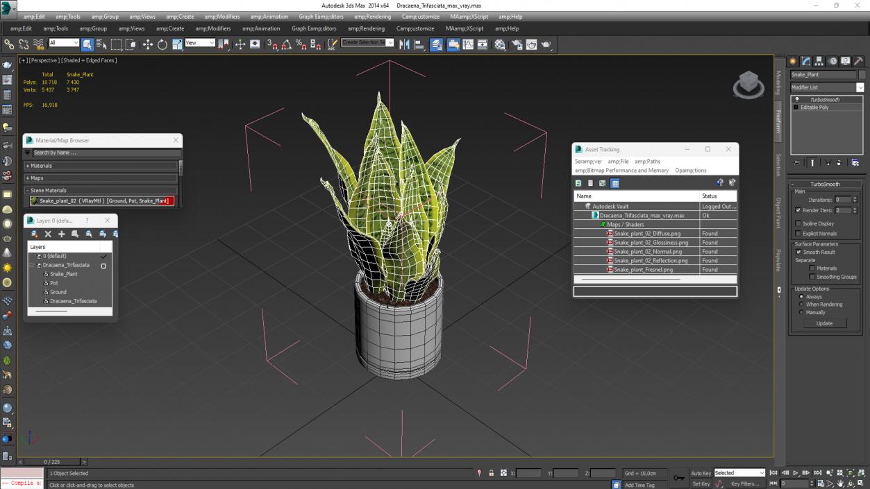 3D model Dracaena Trifasciata