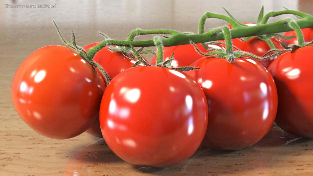 3D Cherry Tomatoes on the Vine Fur