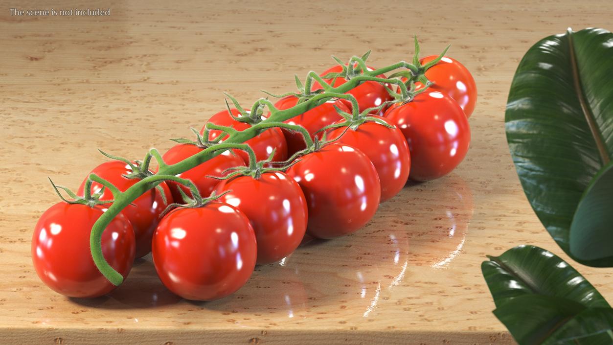 3D Cherry Tomatoes on the Vine Fur